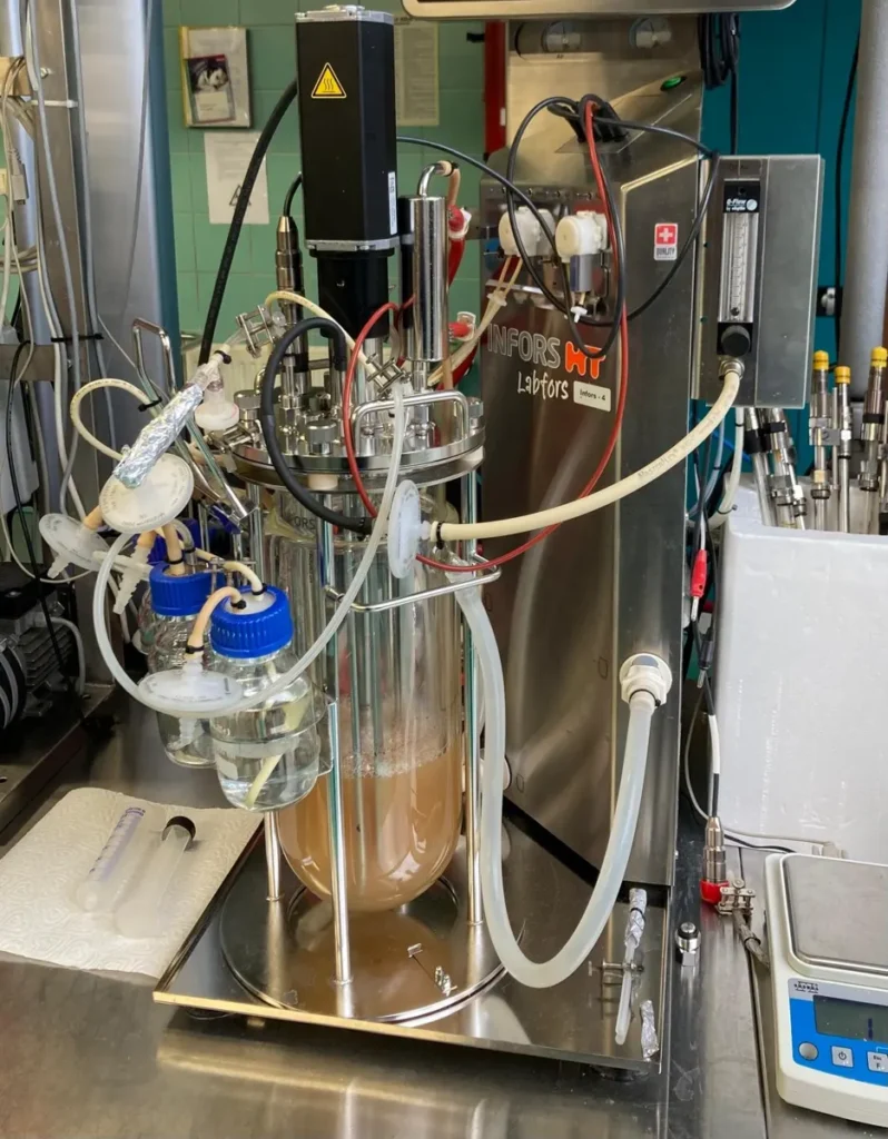 Mintaelemzés az EcoBen laboratóriumában